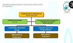 Organizacion 1